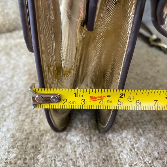 Steven by Steve Madden Light Gold Chrome Crossbody Bag - Picture 10 of 10